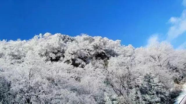 可爱小方块